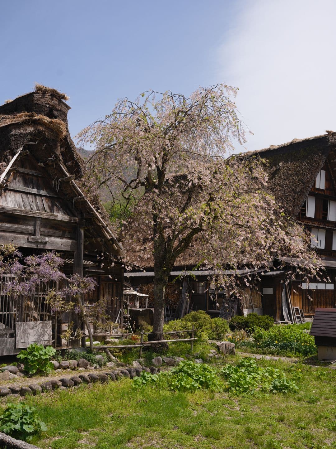 Photo in Shirakawa, Japan 2026